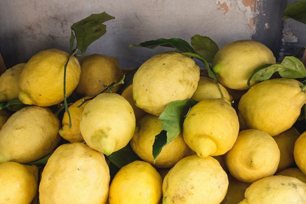 10 Unmissable Day Trips from Naples: Amalfi Coast, Pompeii & Hidden Gems 2 Lemons in Sorrento